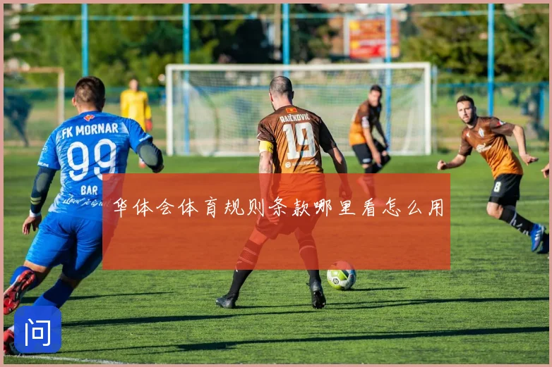 华体会体育规则条款哪里看怎么用